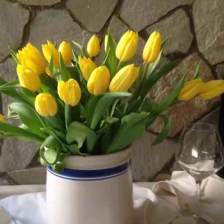 Airone Ξενοδοχείο Ρίμινι