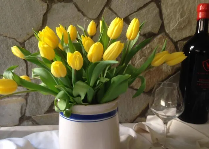 Airone فندق ريميني